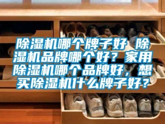 企業(yè)新聞除濕機(jī)哪個牌子好 除濕機(jī)品牌哪個好？家用除濕機(jī)哪個品牌好，想買除濕機(jī)什么牌子好？