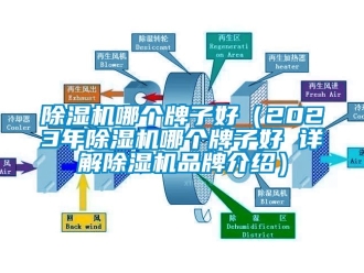 企業(yè)新聞除濕機(jī)哪個(gè)牌子好（2023年除濕機(jī)哪個(gè)牌子好 詳解除濕機(jī)品牌介紹）