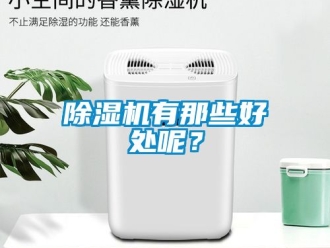 行業(yè)新聞除濕機(jī)有那些好處呢？