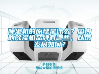 企業(yè)新聞除濕機的原理是什么？國內的除濕機品牌有哪些，以后發(fā)展如何？