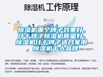 企業(yè)新聞除濕機哪個牌子效果好，什么牌子除濕機質(zhì)量好，除濕機什么牌子適合家用，除濕機十大品牌