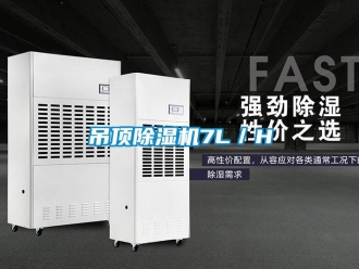 企業(yè)新聞吊頂除濕機7L／H