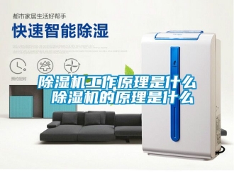 行業(yè)新聞除濕機工作原理是什么 除濕機的原理是什么