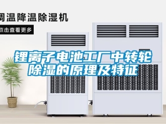 常見問題鋰離子電池工廠中轉(zhuǎn)輪除濕的原理及特征