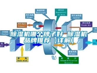 企業(yè)新聞除濕機(jī)哪個牌子好 除濕機(jī)品牌推薦【詳解】