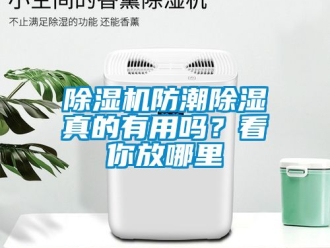 行業(yè)新聞除濕機(jī)防潮除濕真的有用嗎？看你放哪里