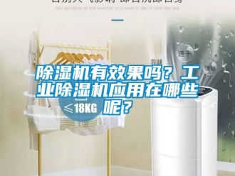 常見問題除濕機有效果嗎？工業(yè)除濕機應(yīng)用在哪些呢？