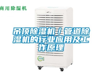 企業(yè)新聞吊頂除濕機(jī)／管道除濕機(jī)的行業(yè)應(yīng)用及工作原理