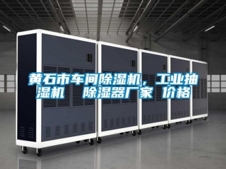 企業(yè)新聞黃石市車間除濕機，工業(yè)抽濕機  除濕器廠家 價格