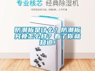 常見問題防潮板是什么？防潮板究竟怎么樣？看了你就知道！