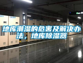 企業(yè)新聞地庫潮濕的危害及解決辦法，地庫除濕器