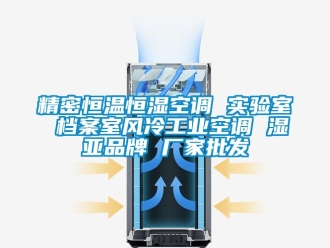 知識百科精密恒溫恒濕空調 實驗室 檔案室風冷工業(yè)空調 濕亞品牌 廠家批發(fā)