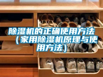 常見問題除濕機的正確使用方法（家用除濕機原理與使用方法）