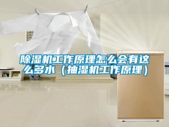 行業(yè)新聞除濕機工作原理怎么會有這么多水（抽濕機工作原理）